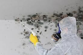  , USA Mold Prevention & Removal Pros